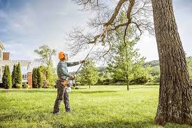 How Our Tree Care Process Works  in  Sunray, TX